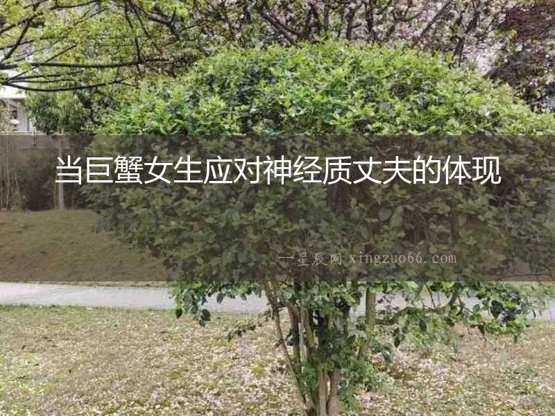當巨蟹女生應對神經質丈夫的體現