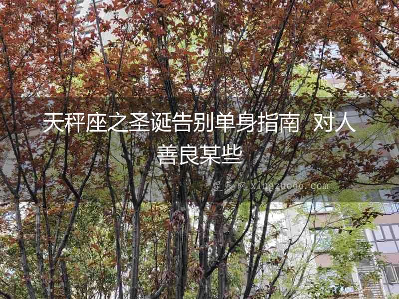 天秤座之圣誕告別單身指南  對人善良某些