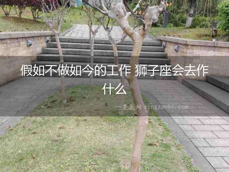 假如不做如今的工作 獅子座會去作什么