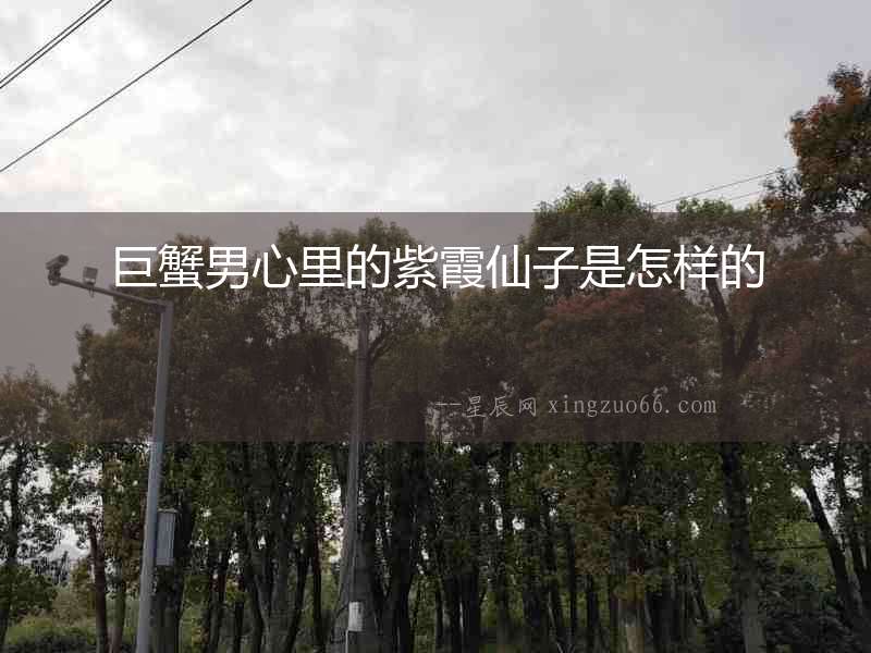 巨蟹男心里的紫霞仙子是怎樣的