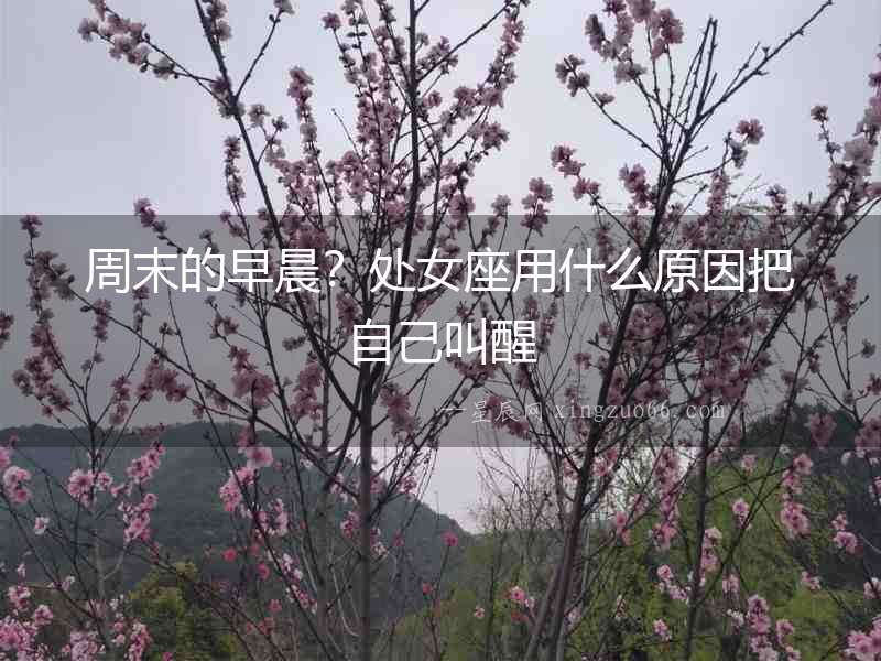 周末的早晨？處女座用什么原因把自己叫醒