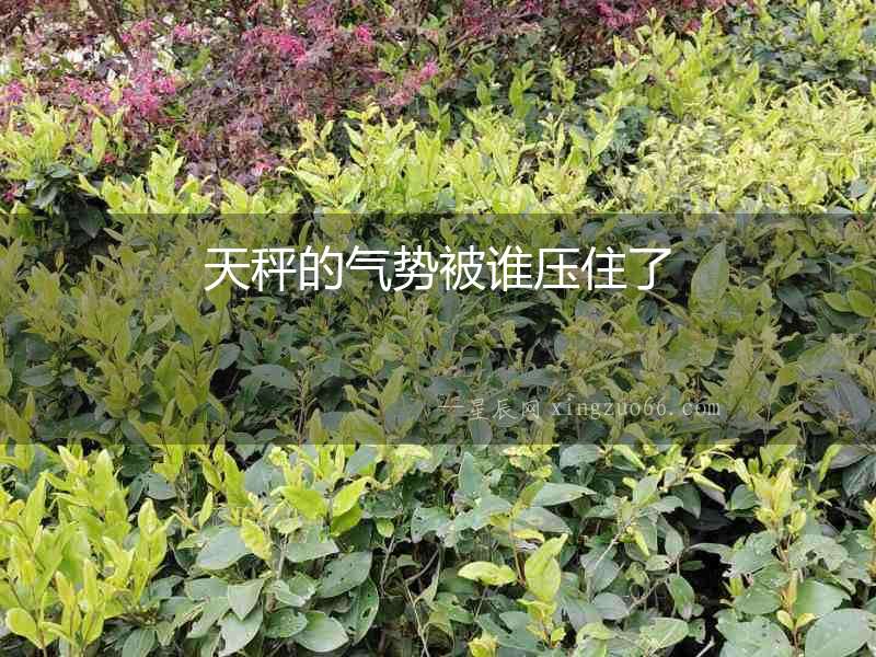 天秤的氣勢被誰壓住了