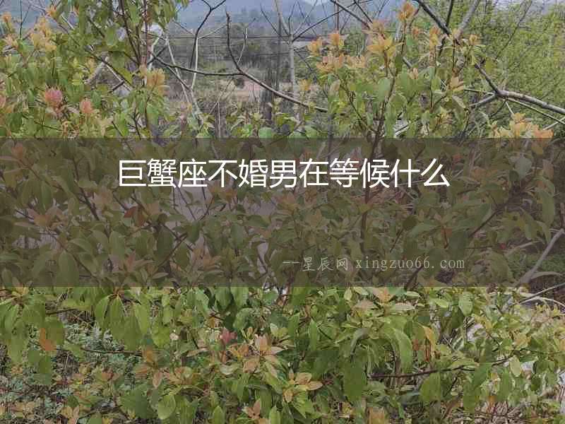 巨蟹座不婚男在等候什么