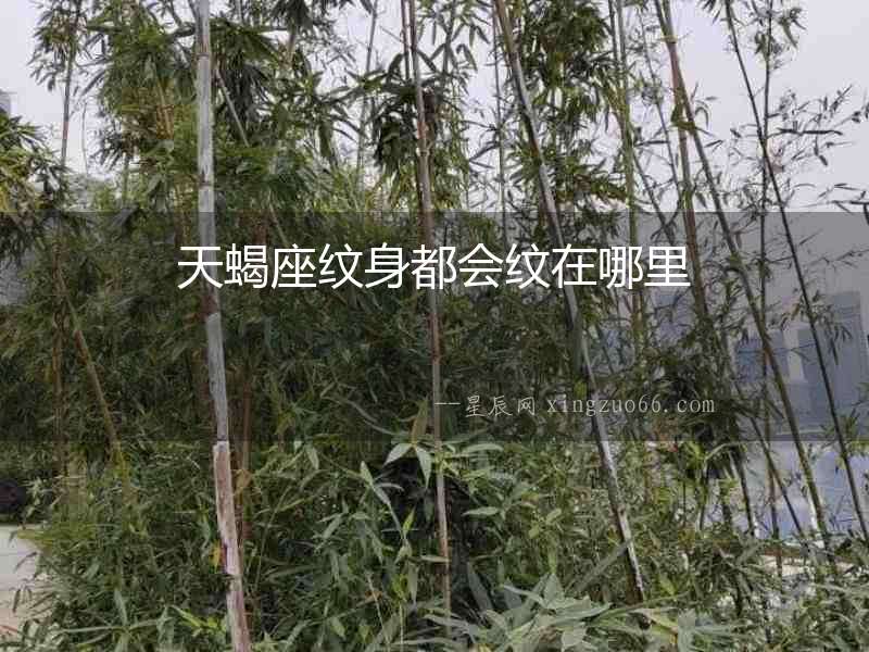 天蝎座紋身都會紋在哪里