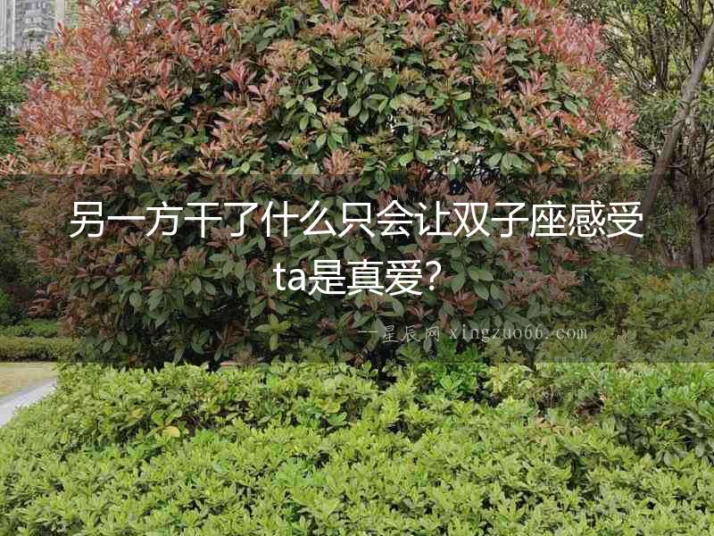 另一方干了什么只會讓雙子座感受ta是真愛？