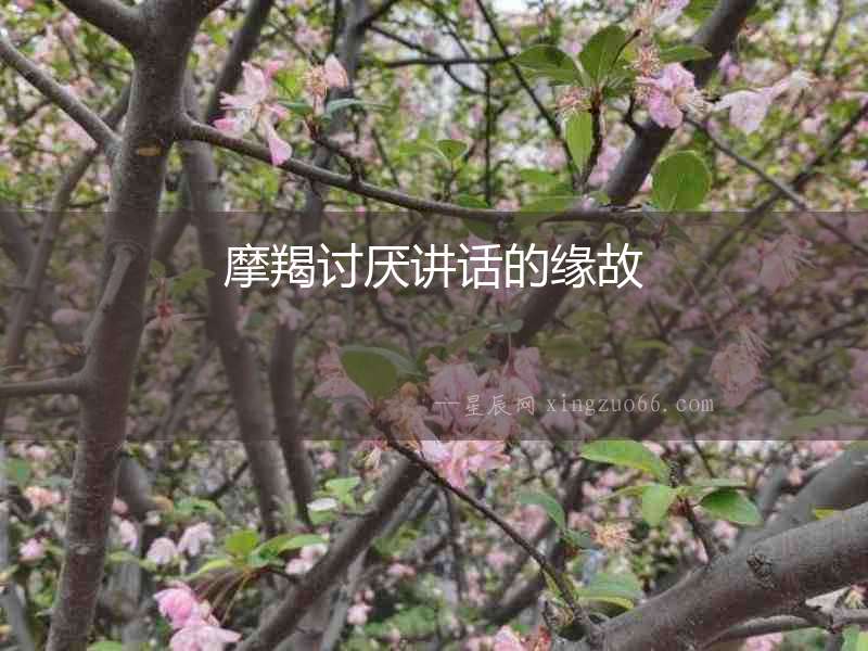 摩羯討厭講話的緣故