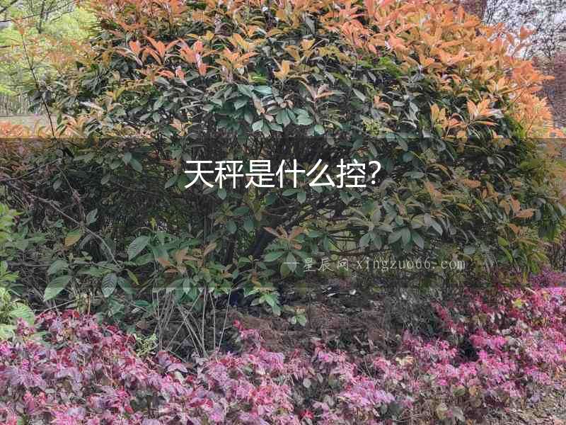 天秤是什么控？
