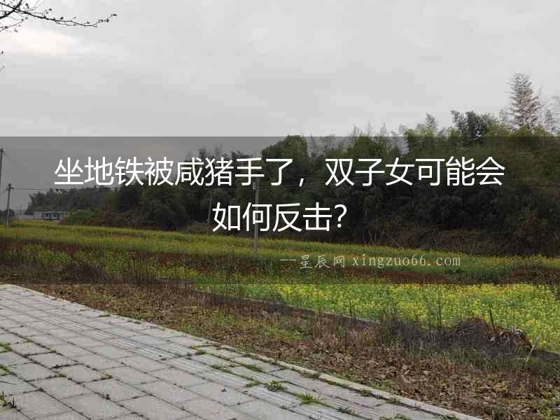 坐地鐵被咸豬手了，雙子女可能會如何反擊？