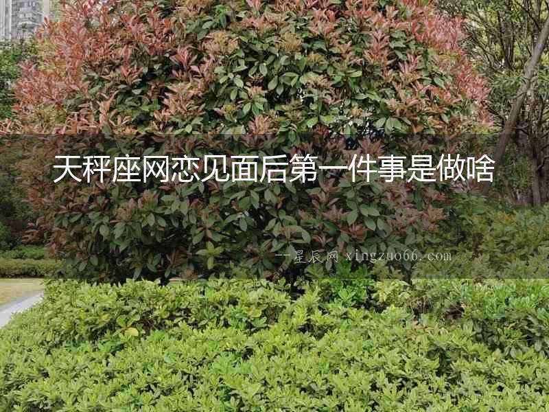 天秤座網戀見面后第一件事是做啥