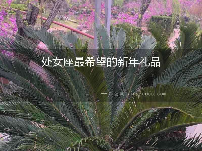 處女座最希望的新年禮品