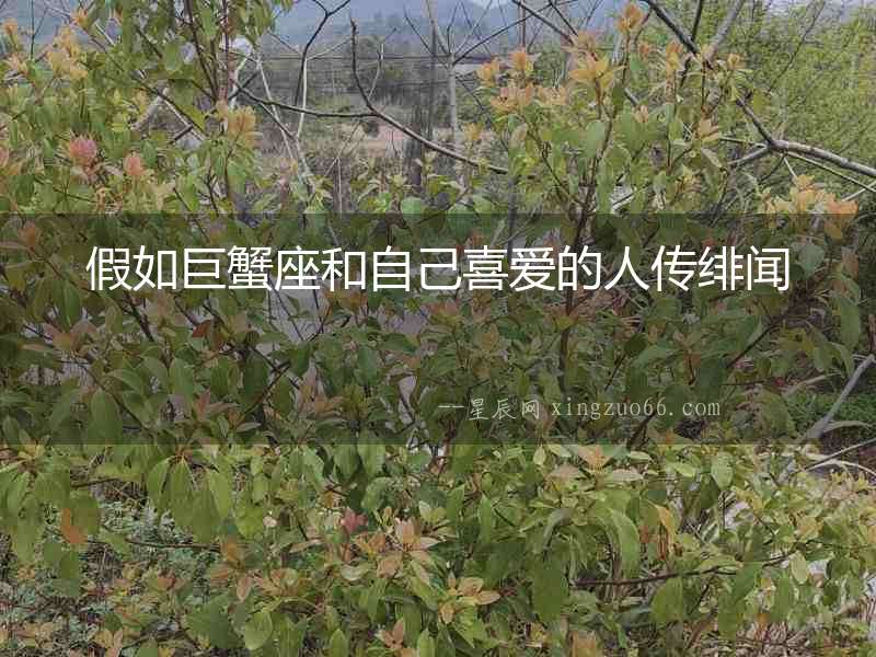 假如巨蟹座和自己喜愛(ài)的人傳緋聞