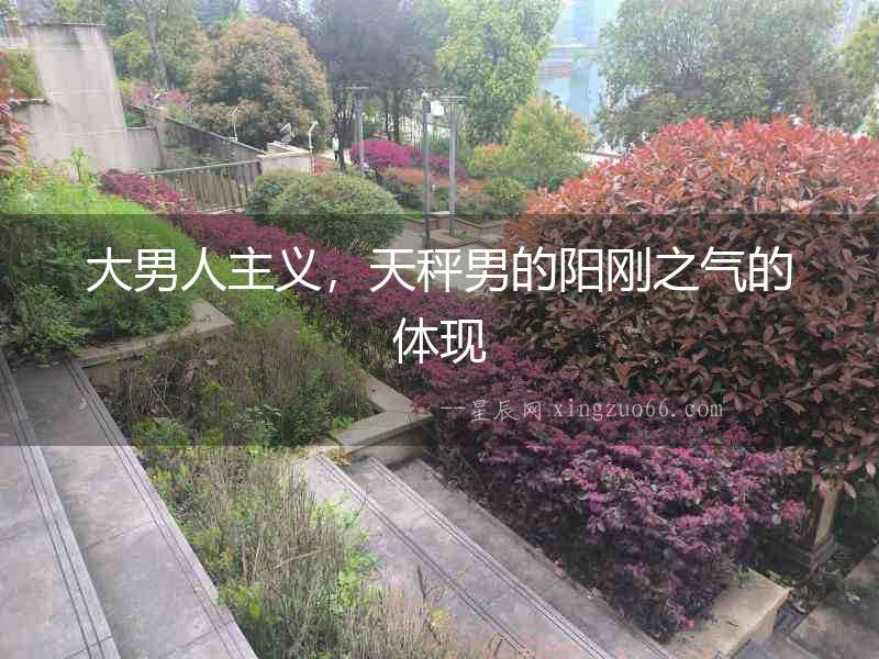 大男人主義，天秤男的陽剛之氣的體現