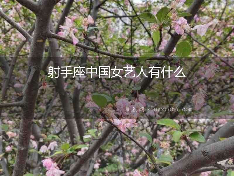 射手座中國女藝人有什么