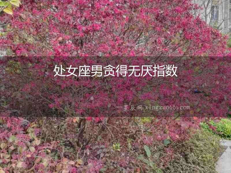 處女座男貪得無厭指數