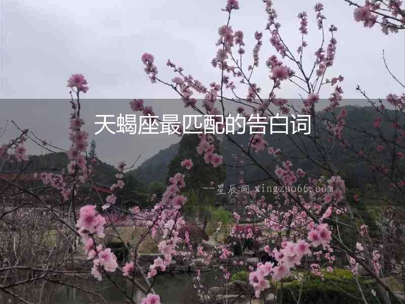 天蝎座最匹配的告白詞