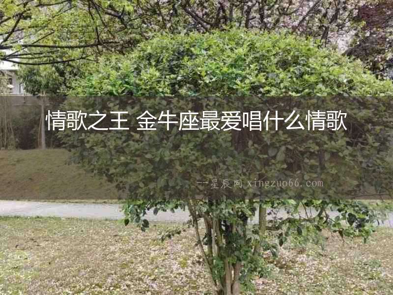 情歌之王 金牛座最愛唱什么情歌
