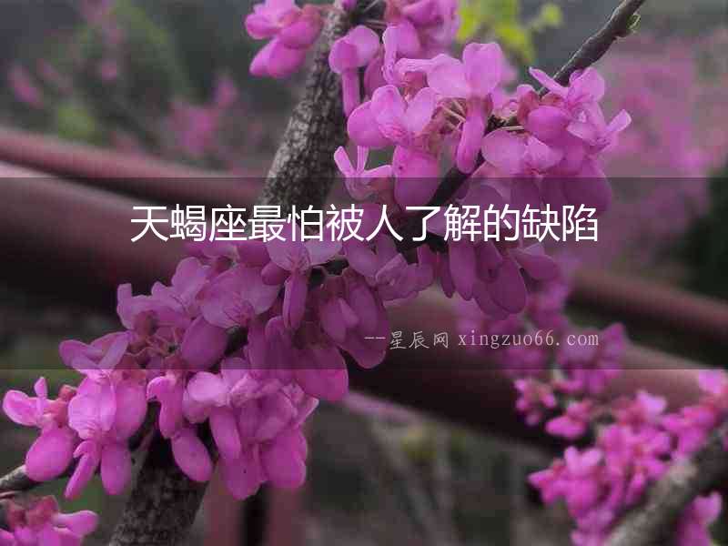 天蝎座最怕被人了解的缺陷