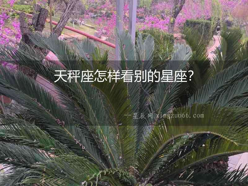 天秤座怎樣看別的星座？