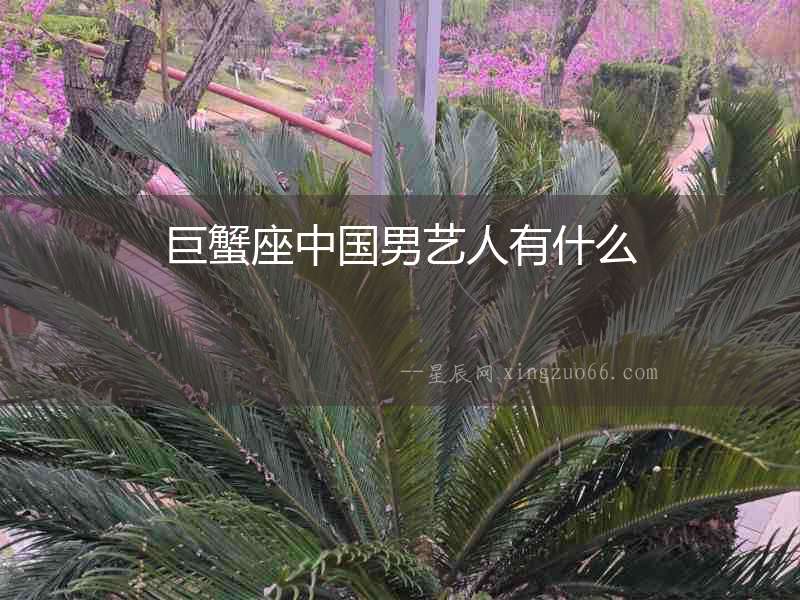 巨蟹座中國男藝人有什么
