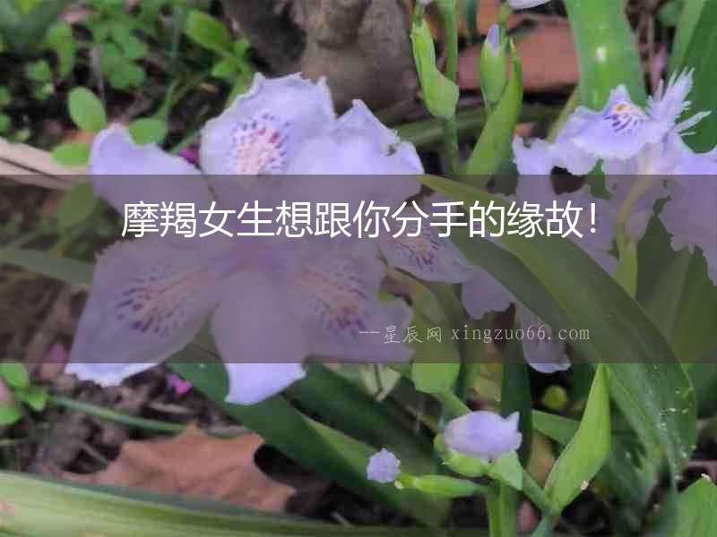 摩羯女生想跟你分手的緣故！