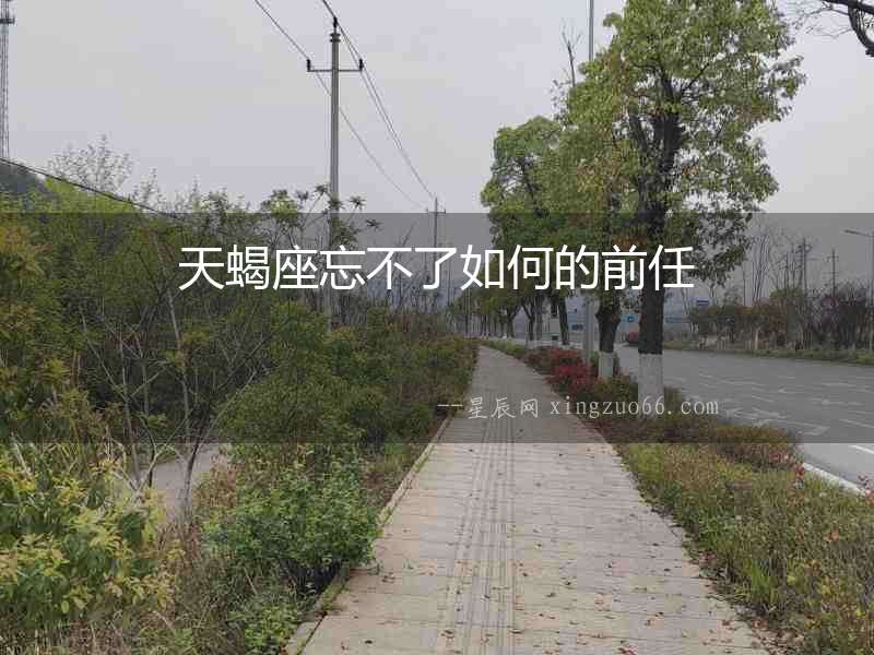 天蝎座忘不了如何的前任