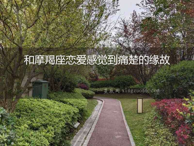 和摩羯座戀愛感覺到痛楚的緣故