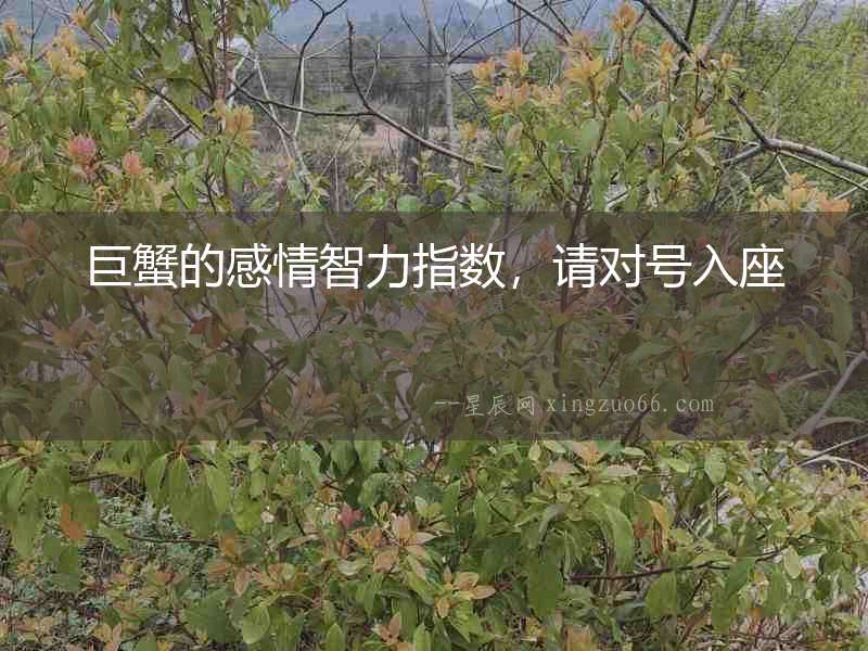 巨蟹的感情智力指數，請對號入座