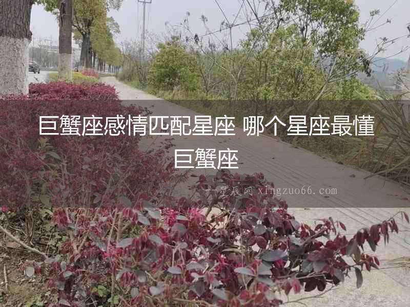 巨蟹座感情匹配星座 哪個(gè)星座最懂巨蟹座