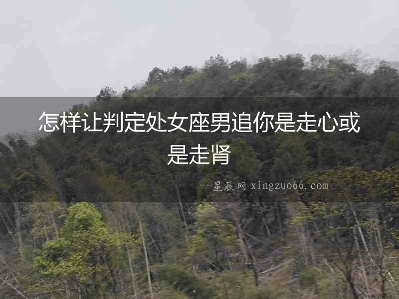 怎樣讓判定處女座男追你是走心或是走腎