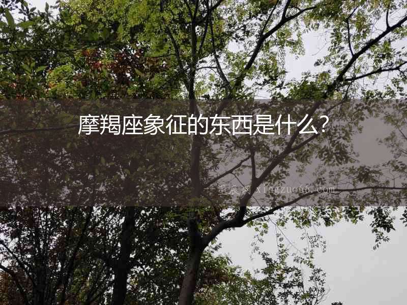摩羯座象征的東西是什么？