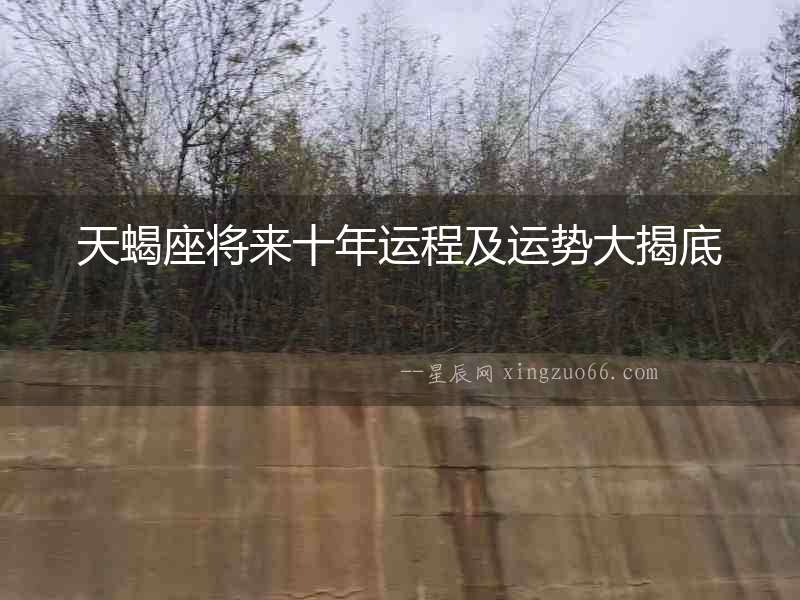 天蝎座將來十年運程及運勢大揭底