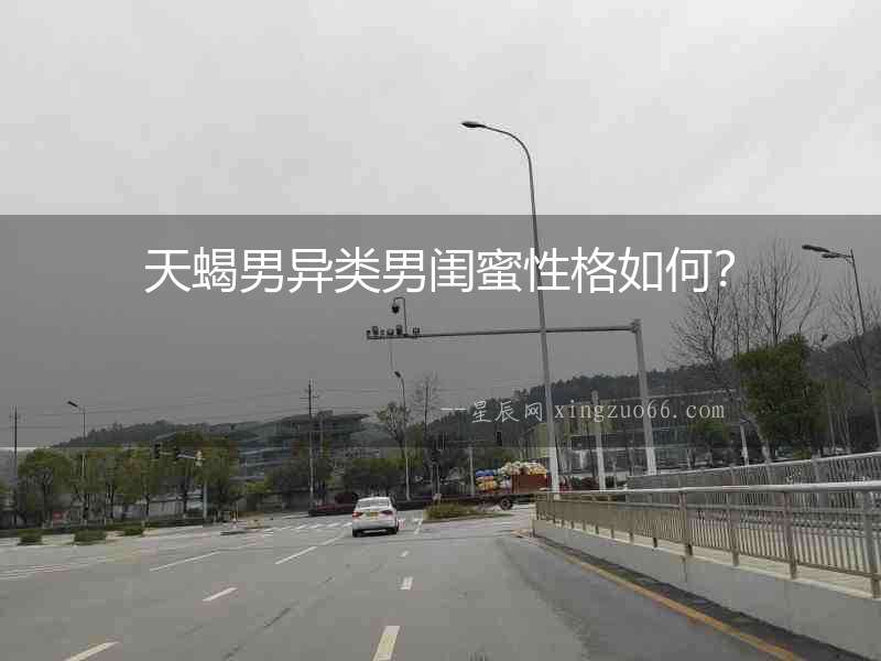 天蝎男異類男閨蜜性格如何？