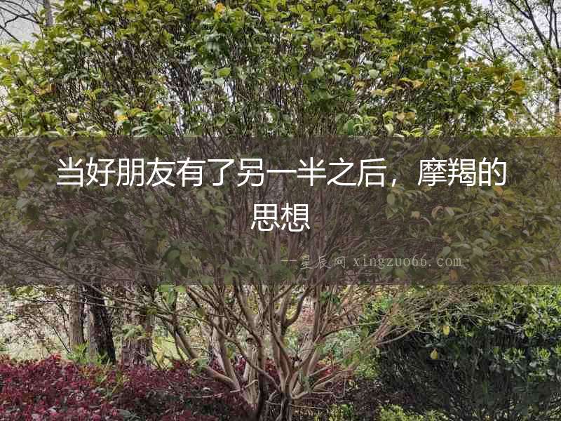 當好朋友有了另一半之后，摩羯的思想