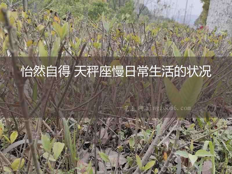 怡然自得 天秤座慢日常生活的狀況