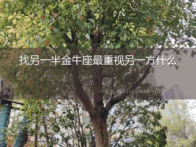 找另一半金牛座最重視另一方什么