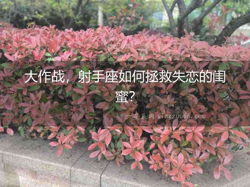 大作戰，射手座如何拯救失戀的閨蜜？
