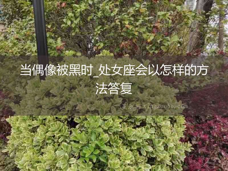 當偶像被黑時_處女座會以怎樣的方法答復