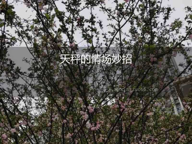 天秤的情場妙招