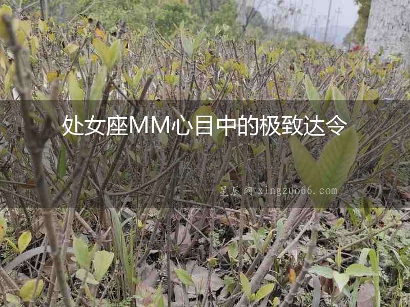 處女座MM心目中的極致達令