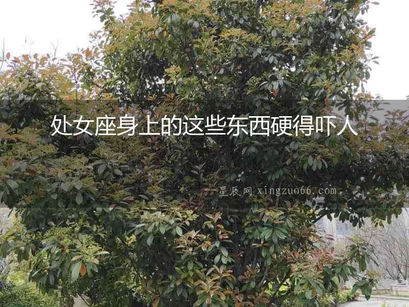 處女座身上的這些東西硬得嚇人