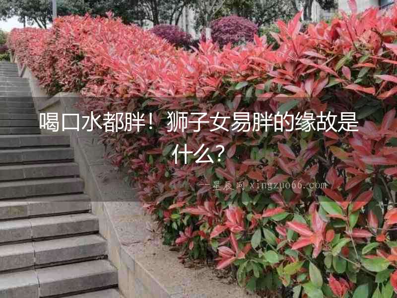 喝口水都胖！獅子女易胖的緣故是什么？