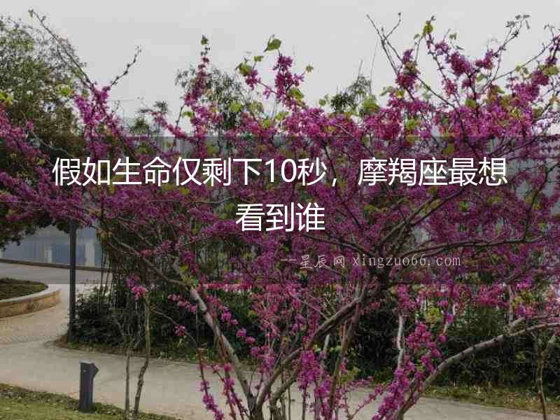 假如生命僅剩下10秒，摩羯座最想看到誰