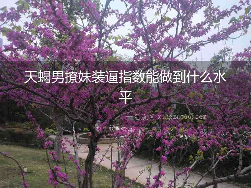 天蝎男撩妹裝逼指數能做到什么水平
