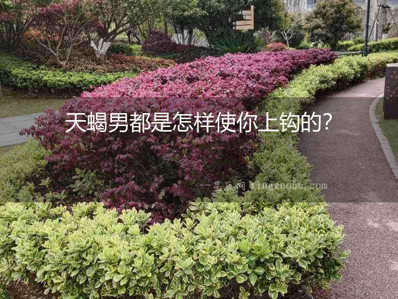 天蝎男都是怎樣使你上鉤的？