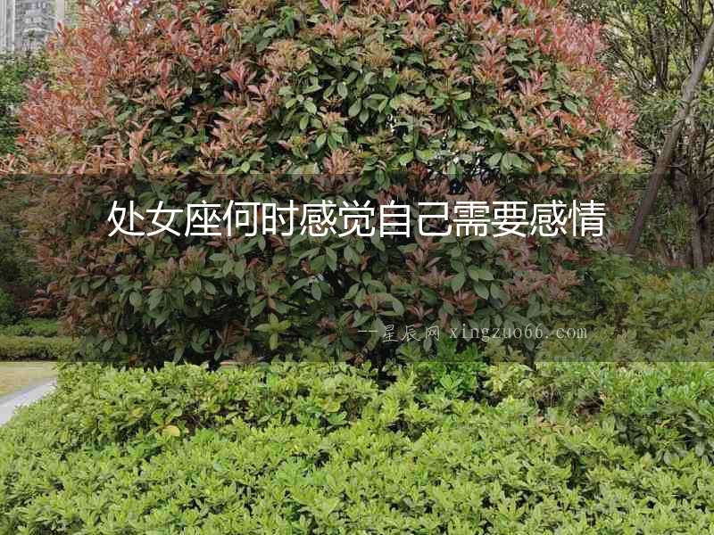 處女座何時感覺自己需要感情