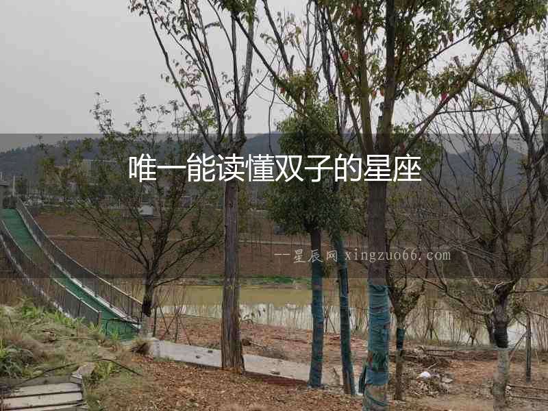 唯一能讀懂雙子的星座