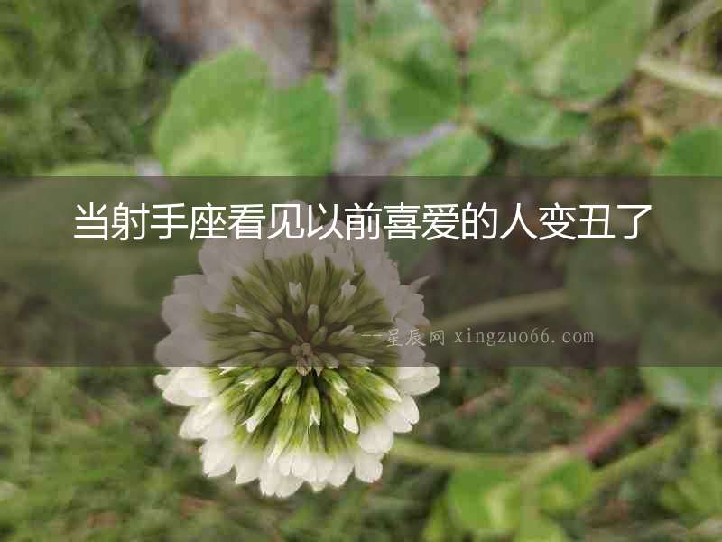 當(dāng)射手座看見以前喜愛的人變丑了