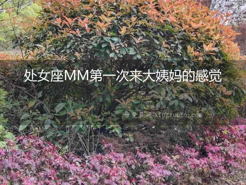 處女座MM第一次來大姨媽的感覺