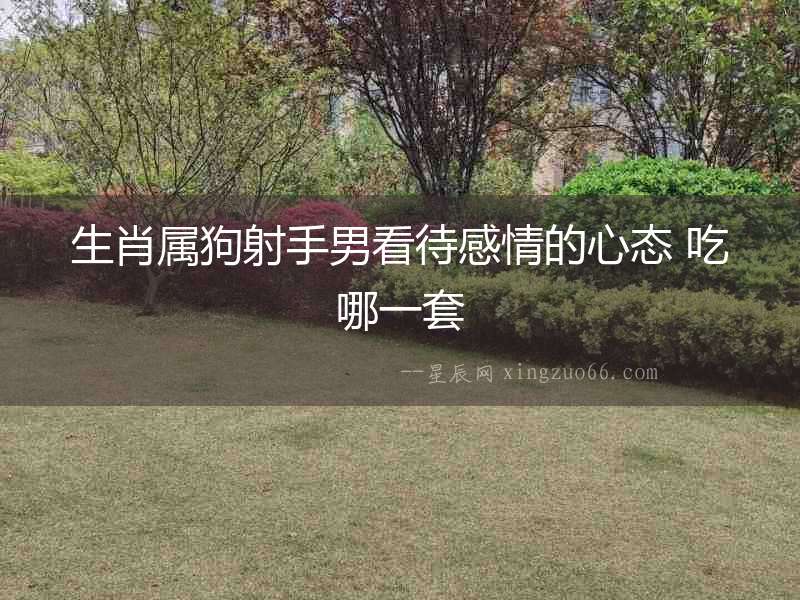 生肖屬狗射手男看待感情的心態 吃哪一套
