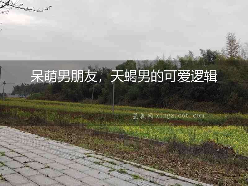 呆萌男朋友，天蝎男的可愛邏輯